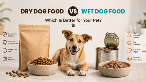 Dry Dog Food vs Wet Dog Food: Which Is Better for Your Pet?