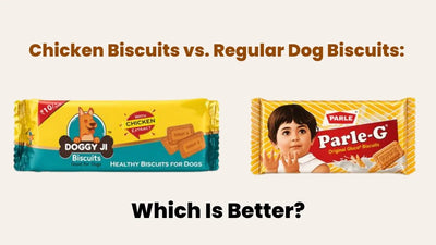 Chicken Biscuits vs. Regular Dog Biscuits