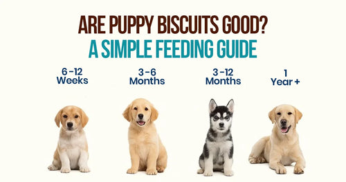 Puppy Biscuits Good