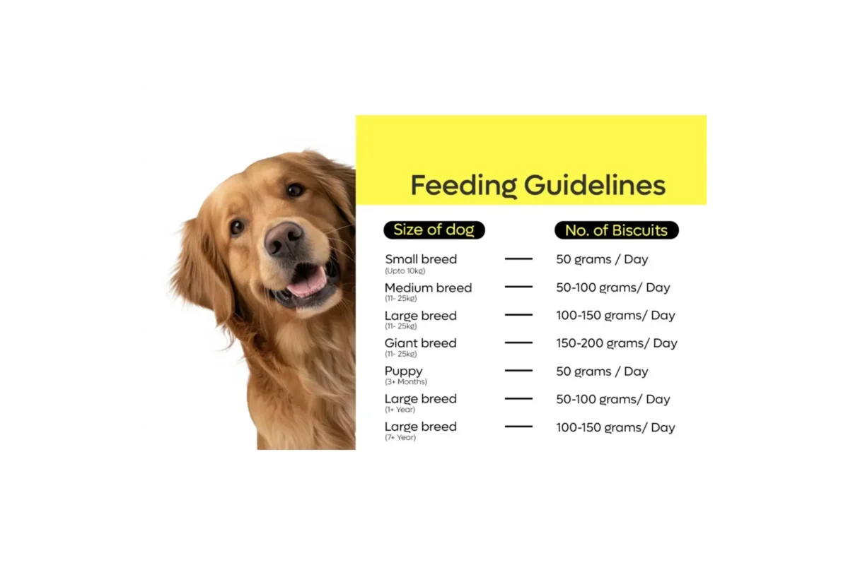 Doggy Ji Ragi Shots – Nutritious Dog Treats
