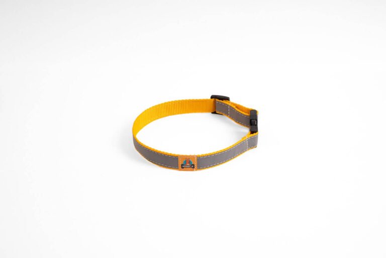 Reflective Dog Collar5