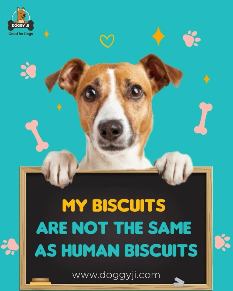 How Harmful Are Human Biscuits To Dogs