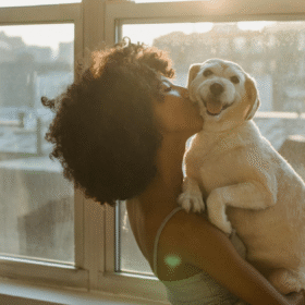 Dog Care Products