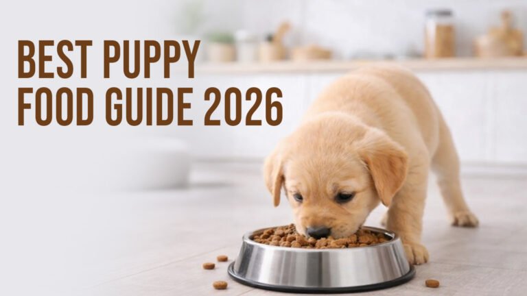 best puppy food guide 2026