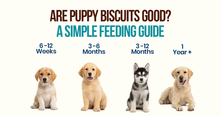 A simple feeding guide for puppy age groups 3 to 6 and 3 to 12 months